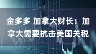 金多多 加拿大财长：加拿大需要抗击美国关税