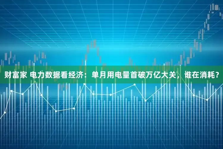 财富家 电力数据看经济:单月用电量首破万亿大关,谁在消耗?